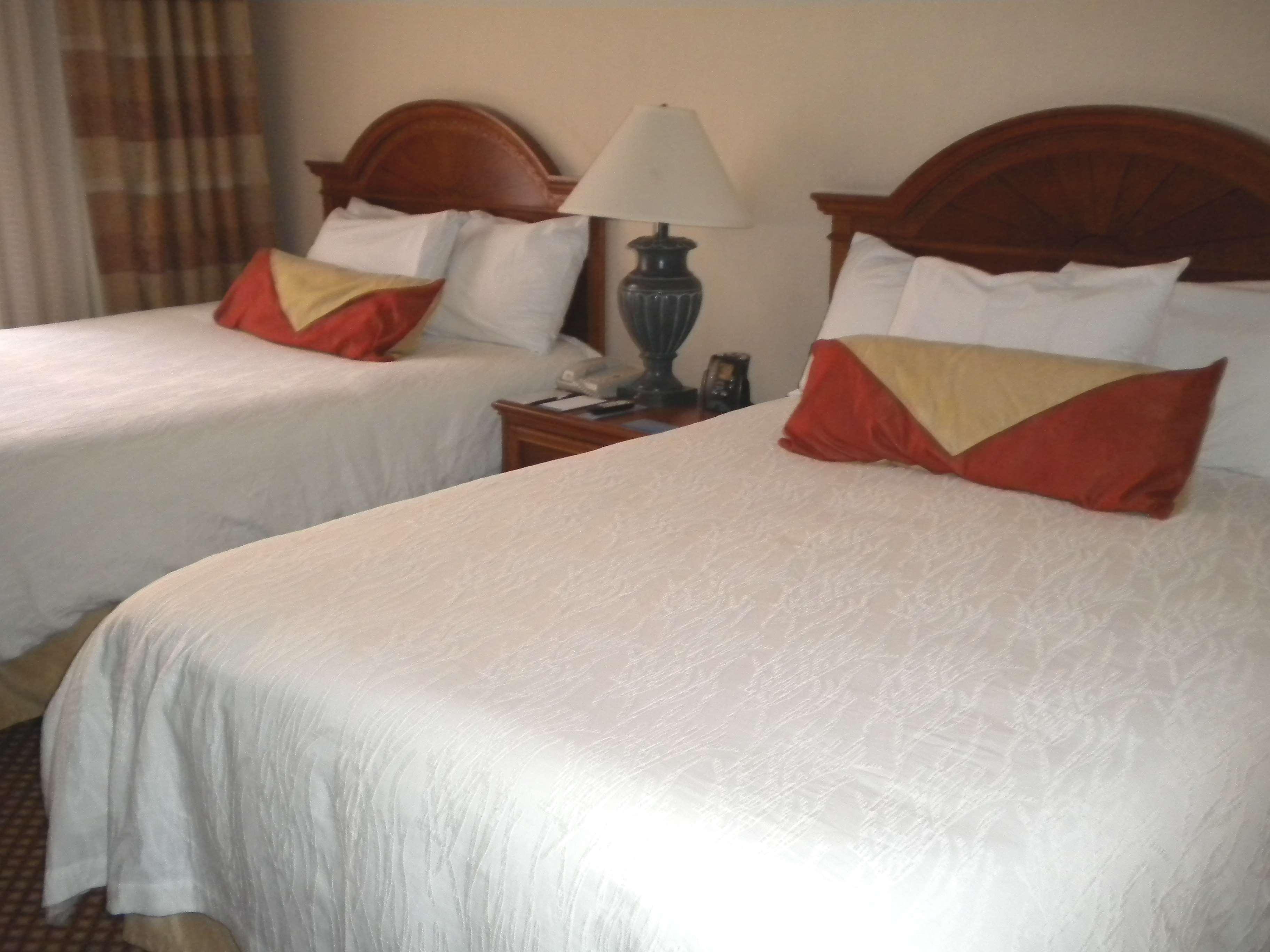 Hilton Garden Inn Williamsburg Rom bilde