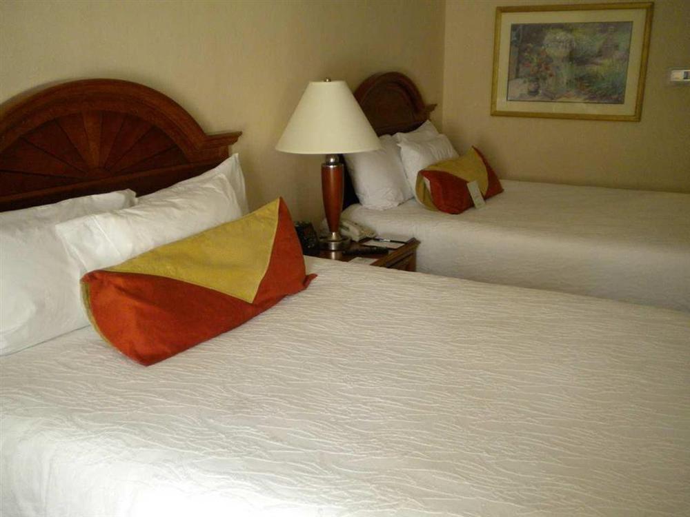 Hilton Garden Inn Williamsburg Rom bilde